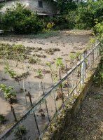 с.Ержово (фото депутата ВС ПМР В.Кравчука)