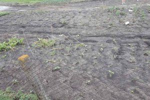 с.Красненькое (фото депутата ВС ПМР В. Куницкого)