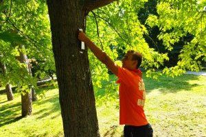 фото – Дубоссарское отделение РПП «Обновление»