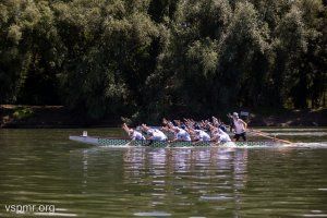 гонка за Суперкубок