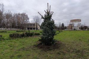 фото: Бендеры Инфо