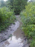 с. Андреевка Рыбницкого района (фото депутата В. Куницкого)